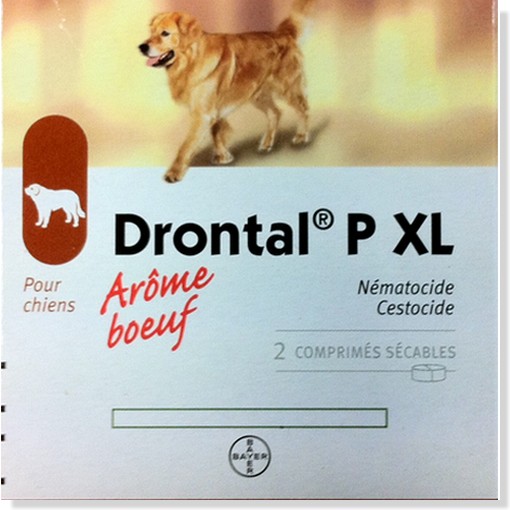 DRONTAL  P XL CHIEN	b/2       cpr